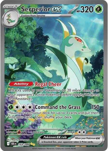 Serperior ex (164/086) (Holofoil) (SV: Black Bolt)