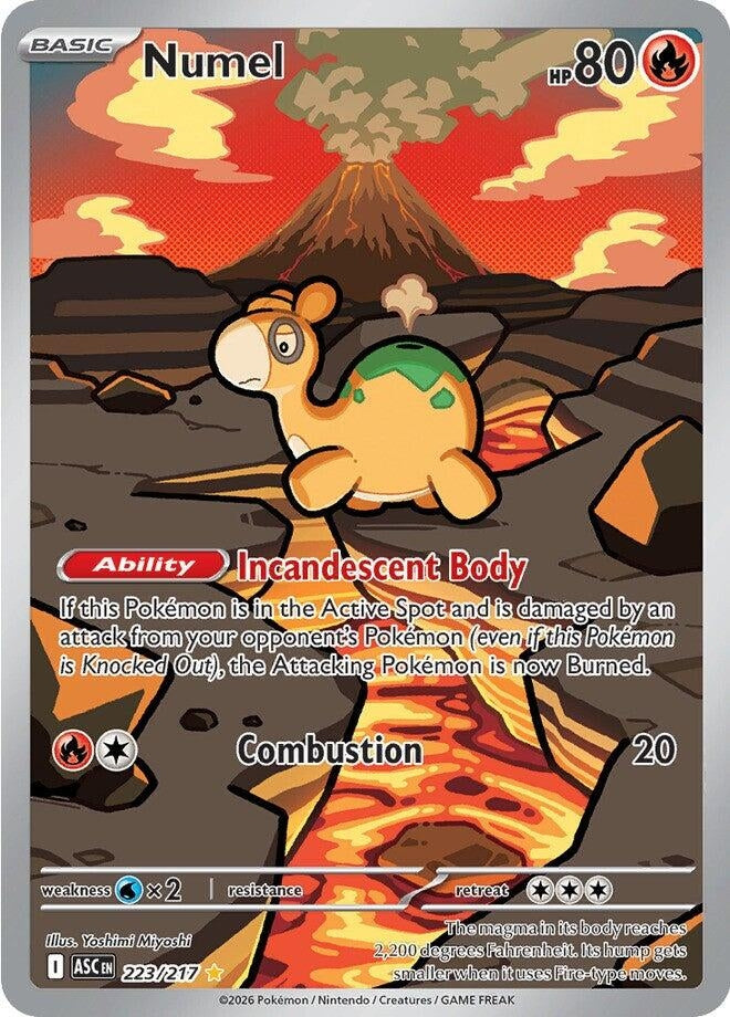 Image for Numel (223/217) (Holofoil) (ME: Ascended Heroes) - Pokemon