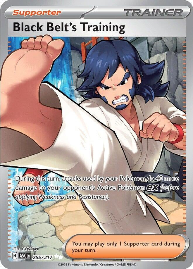 Black Belt's Training (255/217) (Holofoil) (ME: Ascended Heroes)