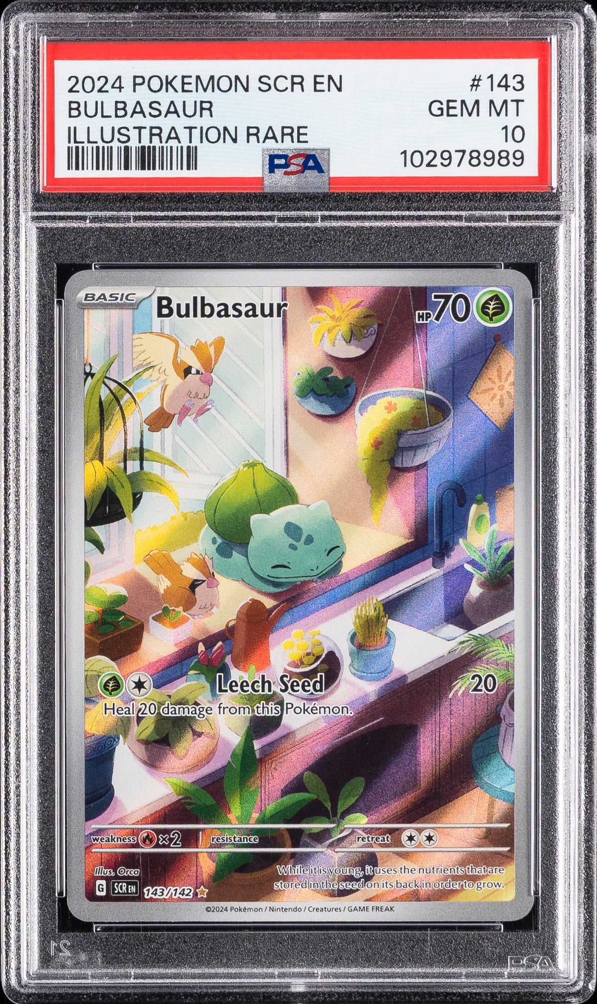 BULBASAUR ILLUSTRATION RARE 2024 POKEMON SCR EN-STELLAR CROWN PSA GEM MT 10 - front