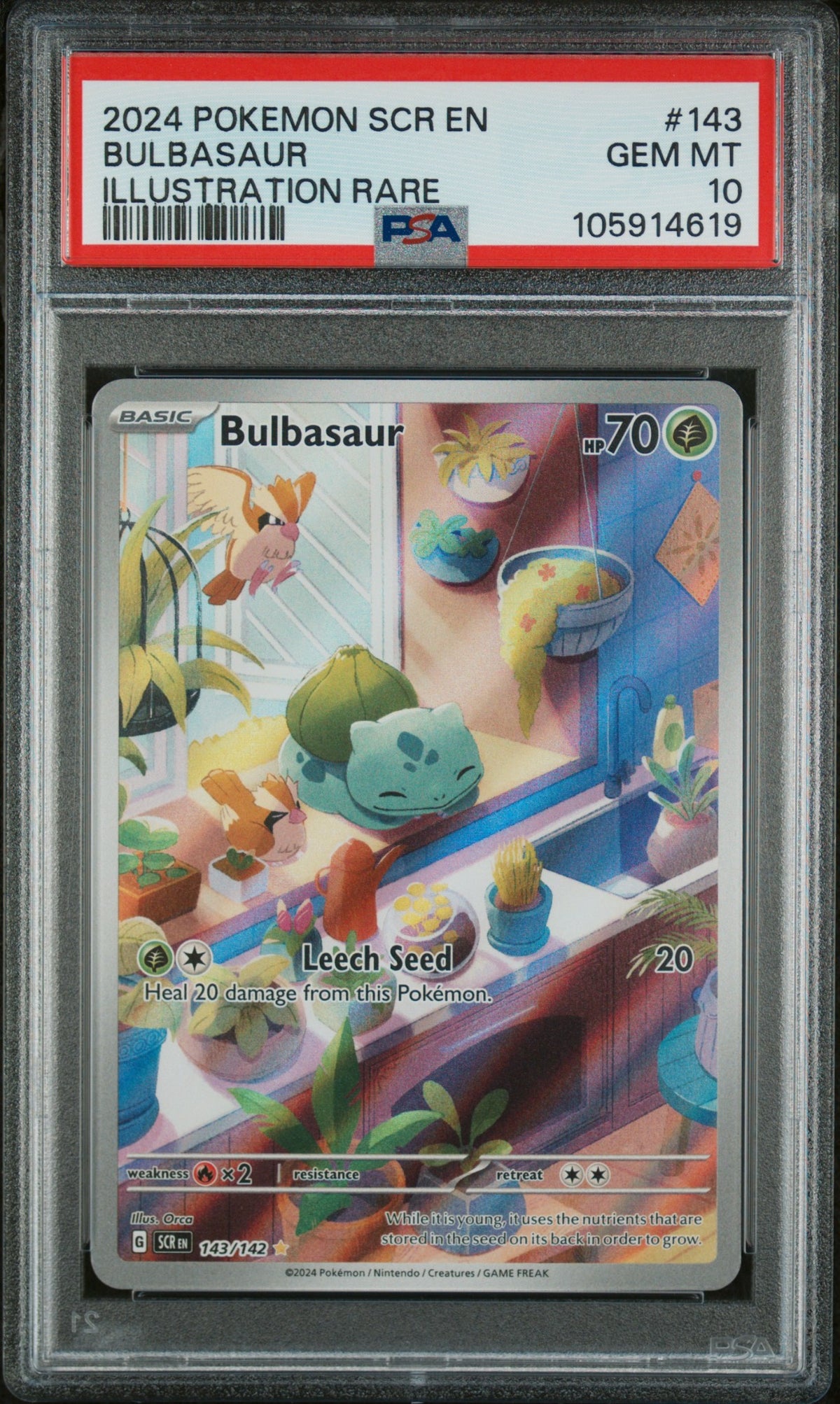 BULBASAUR ILLUSTRATION RARE 2024 POKEMON SCR EN-STELLAR CROWN PSA GEM MT 10 - front
