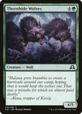 Image for Thornhide Wolves (232) (Foil) (Shadows over Innistrad) (SOI) - Magic: The Gathering
