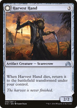 Image for Harvest Hand (256) (Foil) (Shadows over Innistrad) (SOI) - Magic: The Gathering