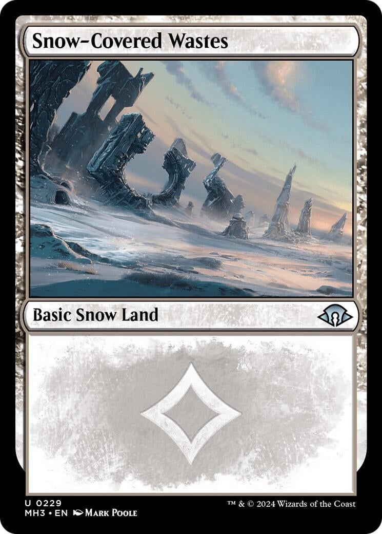 Image for Snow-Covered Wastes (0229) (229) (Foil) (Modern Horizons 3) - Magic: The Gathering