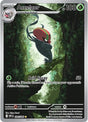 Image for Accelgor (094/086) - Pokemon