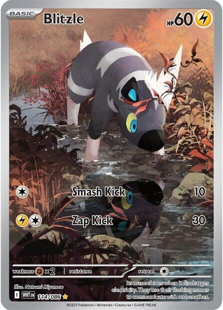 Image for Blitzle (114/086) - Pokemon