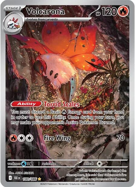 Volcarona (100/086) (Holofoil) (SV: Black Bolt)