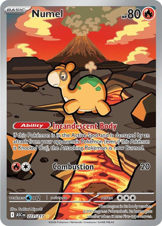 Image for Numel (223/217) (Holofoil) (ME: Ascended Heroes) - Pokemon