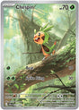 Image for Chespin (087/086) (Holofoil) (ME04: Chaos Rising) - Pokemon