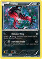 Image for Yveltal - XY06 (XY06) (XY Promos) - Pokemon