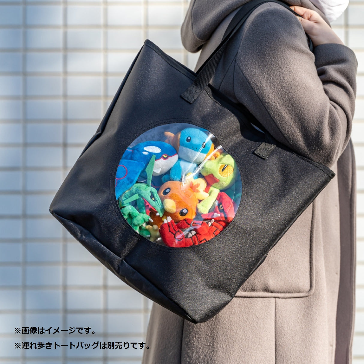 Groudon No. 383 product image 4